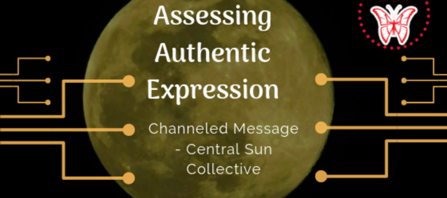 Assessing Authentic Expression – Central Sun Collective