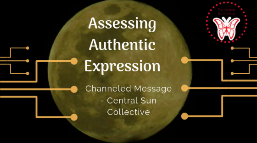 Assessing Authentic Expression – Central Sun Collective