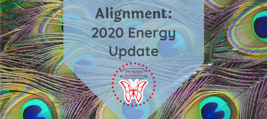 Embodiment Alignment: 2020 Energy Update